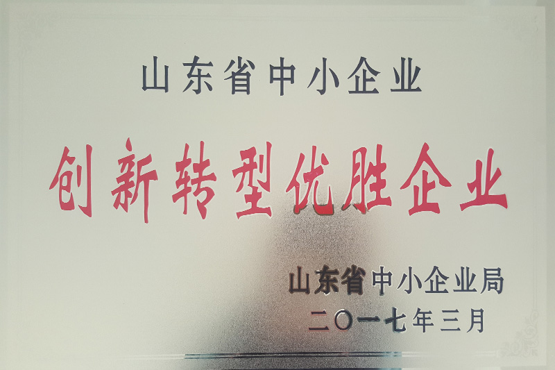 山東省創新轉型優勝企業